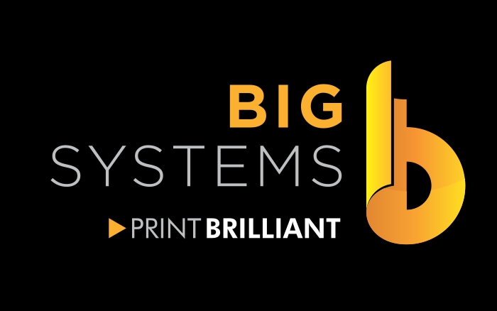 Big Systems Logo