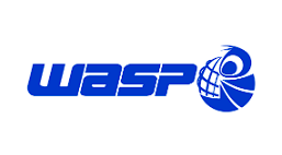  Wasp logo